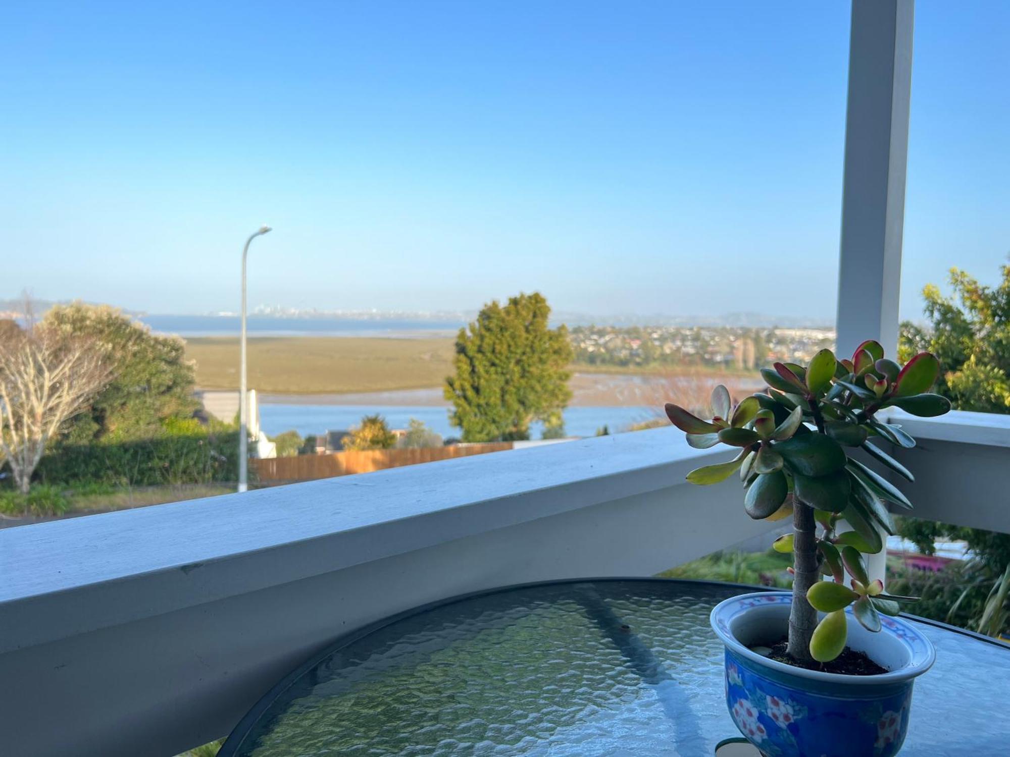 Auckland Sea&Skytower View Homestay With Free Netflix, Parking Екстер'єр фото